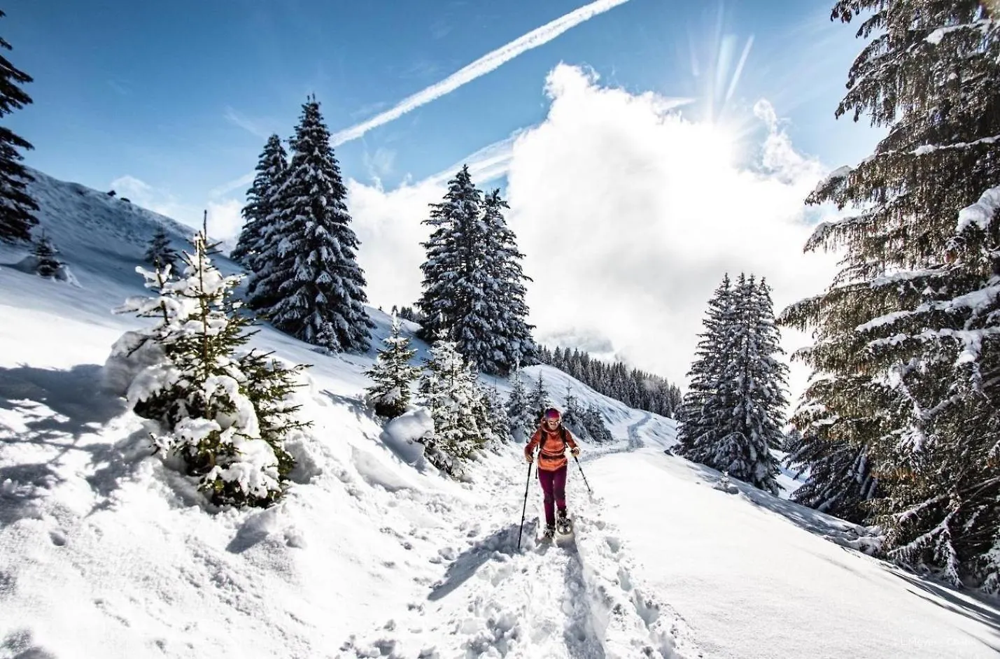 Corina Cn43 Quiet & Mountain 4 Pers Apartment Chatel
