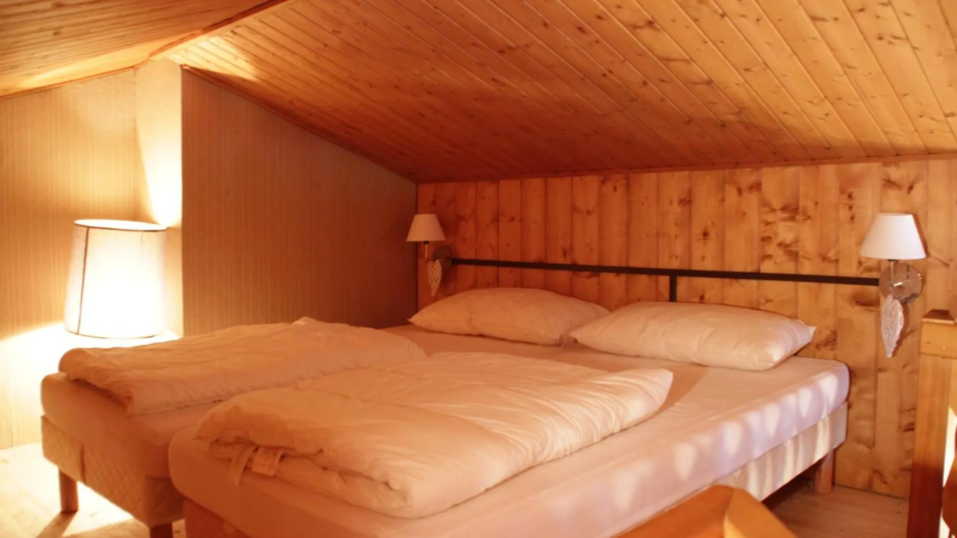 Corina Cn43 Quiet & Mountain 4 Pers Διαμέρισμα Châtel